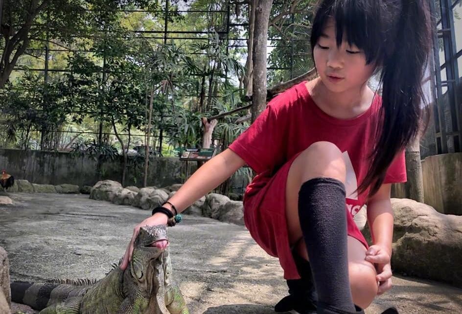 曹格女儿Grace照片