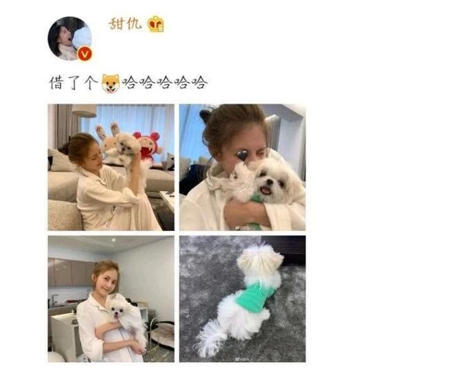 王思聪新欢素颜照曝光